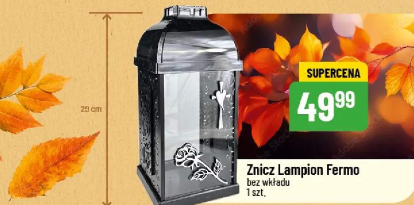 znicz