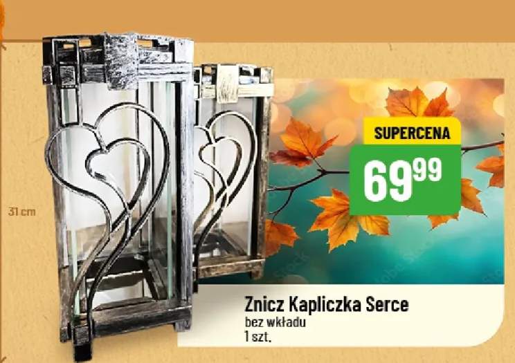 znicz