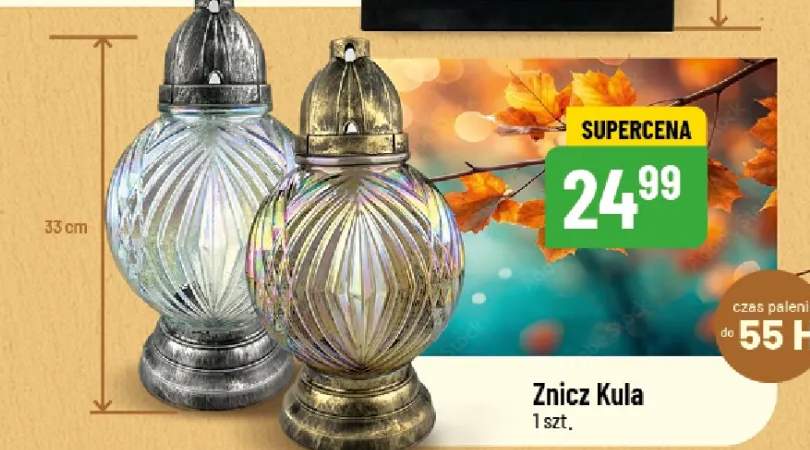 znicz