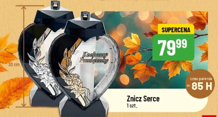 znicz