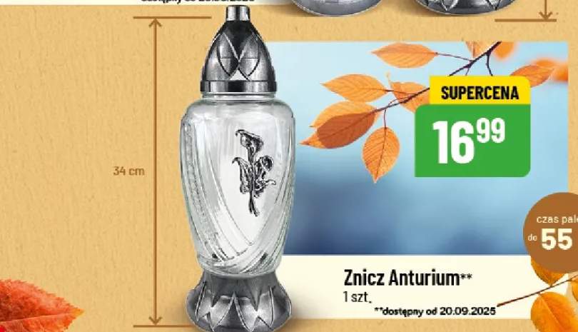 znicz