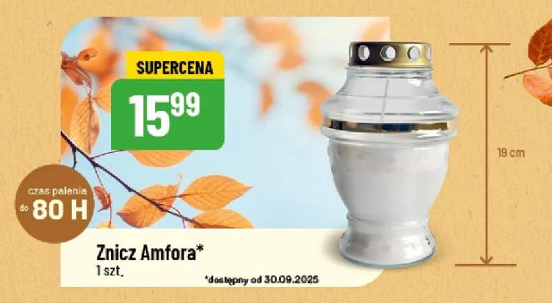 znicz