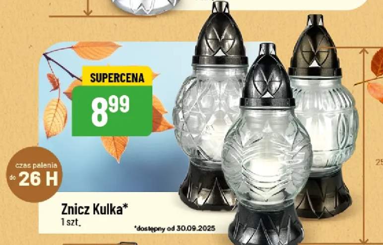znicz