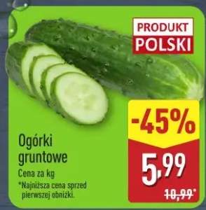 ogórek gruntowy