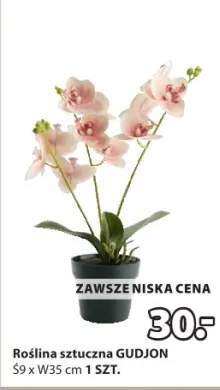 rośliny sztuczne