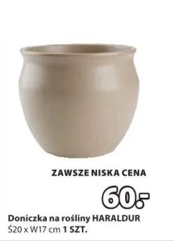 doniczka