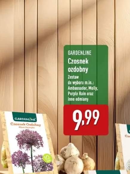 rośliny ogrodowe