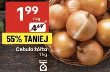 cebula żółta