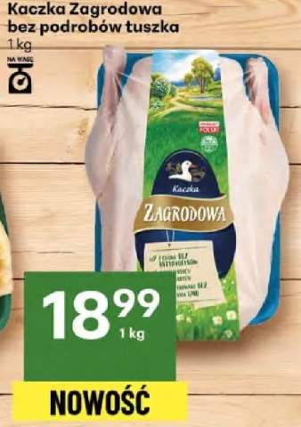 kaczka