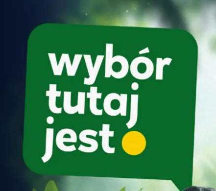 warzywa mrożone