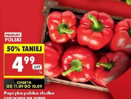 papryka słodka