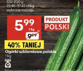 ogórek długi
