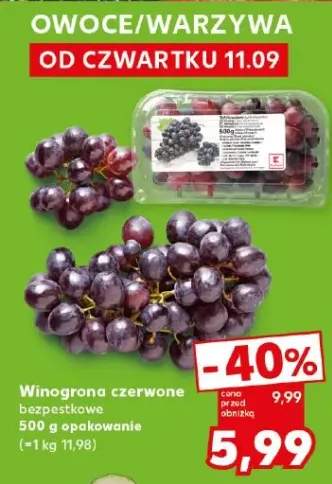 winogrona