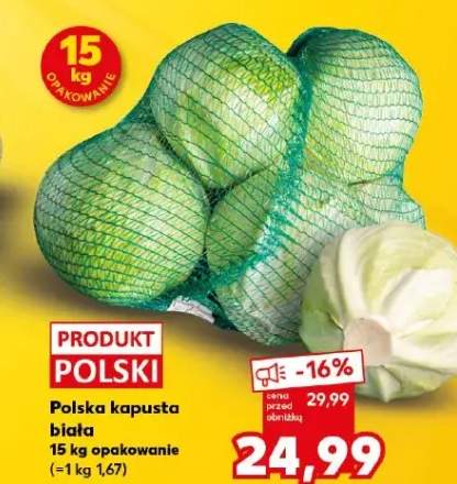 kapusta biała
