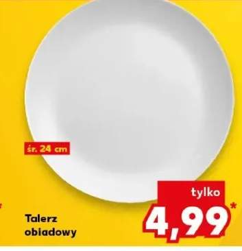 talerz obiadowy
