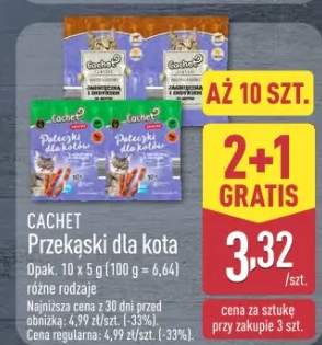 gąbka