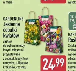 przysmak