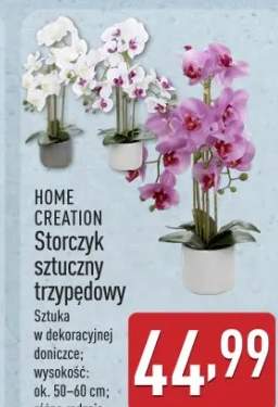 storczyk