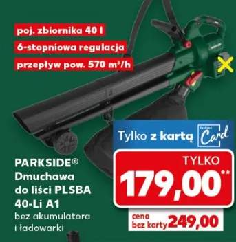 dmuchawa do liści