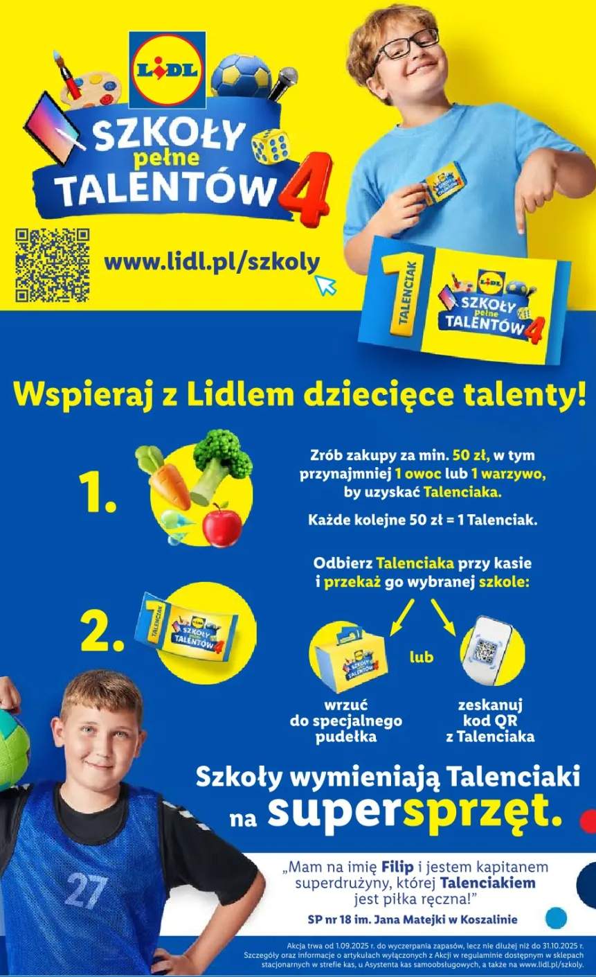 dmuchawa do liści