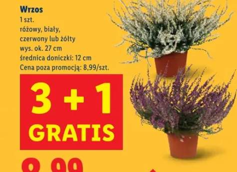 ręcznik papierowy