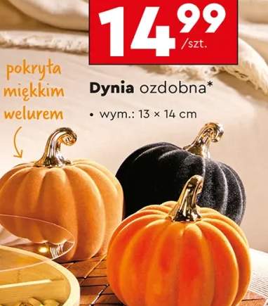 dynia ozdobna