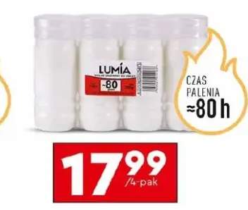 wkład do znicza