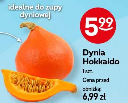dynia hokkaido