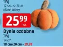 dynia ozdobna