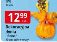 dynia