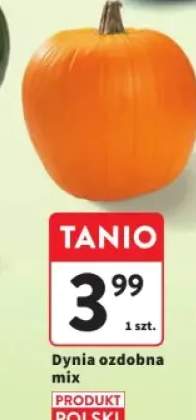 dynia ozdobna
