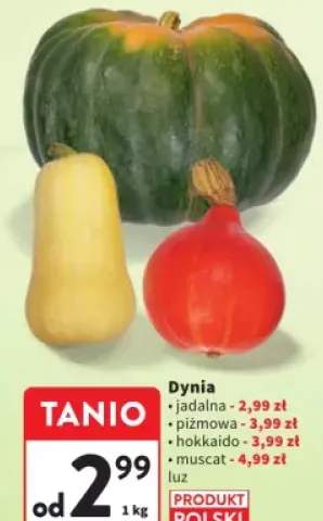 dynia piżmowa
