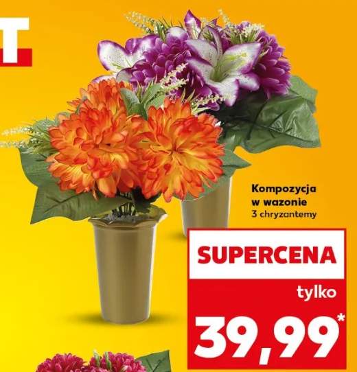 Chryzantema