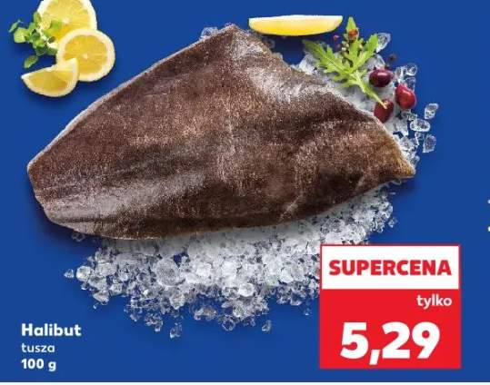 halibut tusza