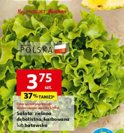sałata karbowana