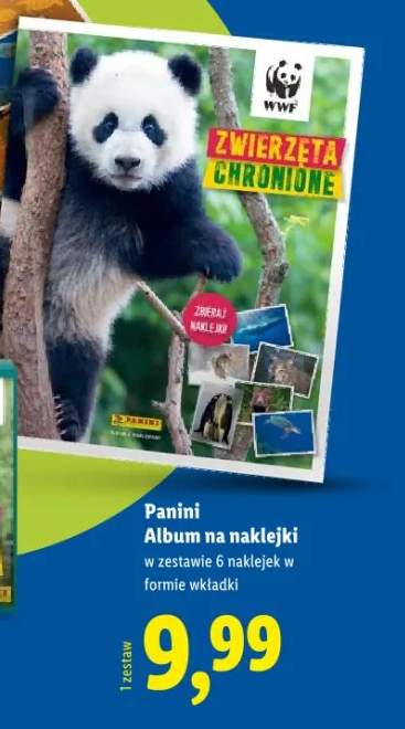 album