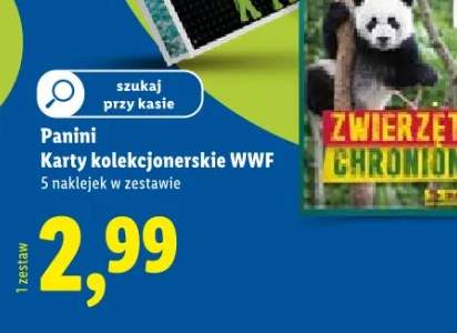karty kolekcjonerskie