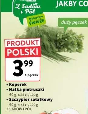 natka pietruszki