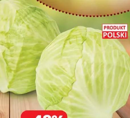 kapusta biała