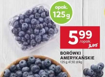 borówka amerykańska