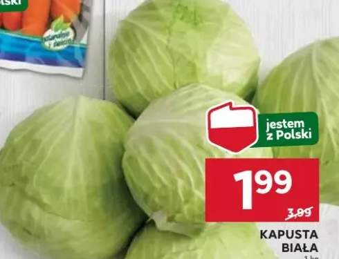 kapusta biała