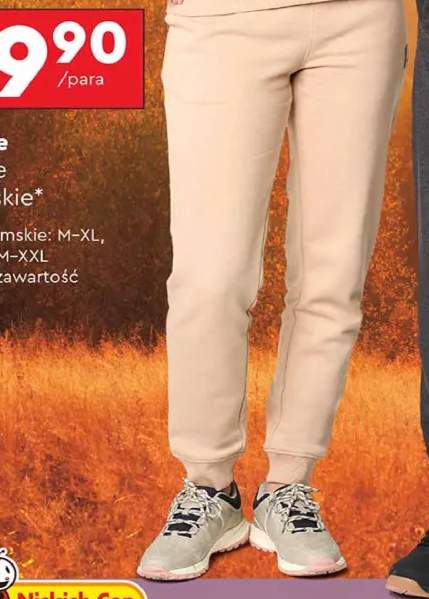 spodnie dresowe damskie