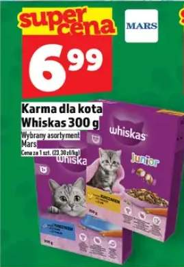 karma dla kota
