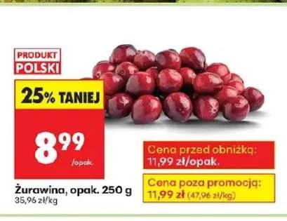 żurawina