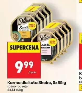 karma dla kota