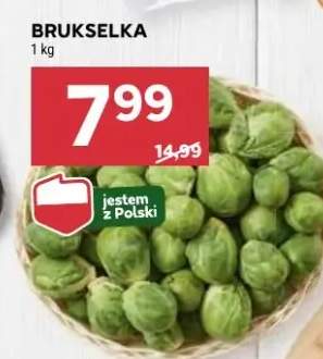 brukselka