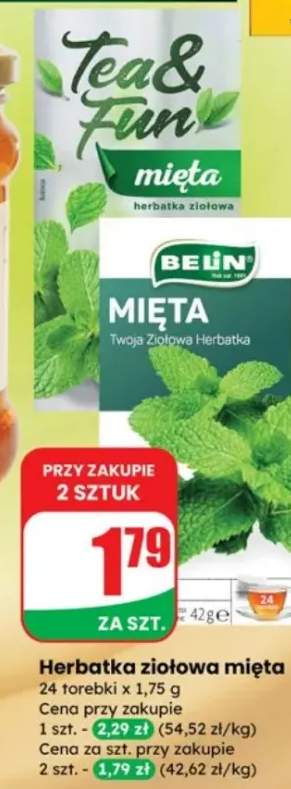 mięta