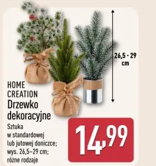 drzewko dekoracyjne