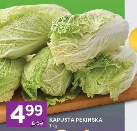 kapusta pekińska
