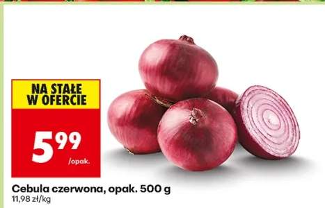 cebula czerwona